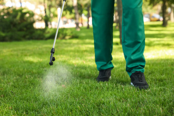 Best Ant Control Services  in Oakbrook Terrace, IL