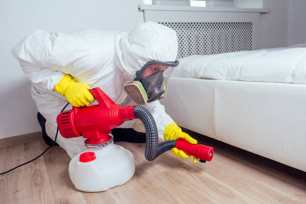 Best Best Pest Control Companies  in Oakbrook Terrace, IL