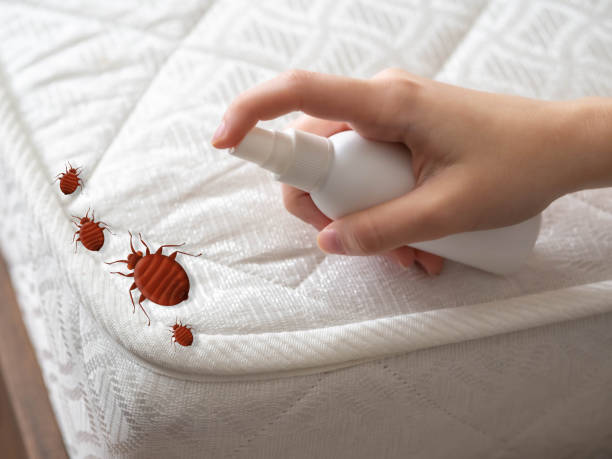 Best Ant Control Services  in Oakbrook Terrace, IL