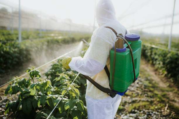Professional Pest Control in Oakbrook Terrace, IL